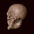 4.png Skull with beard and mustache
