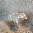 IMG20200816144841.jpg Free STL file Low poly Arctic Fox・3D printing model to download