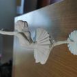 Ballerina