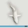 GREAT_WHITE_NK_01.png FLEXI ARTICULATED GREAT WHITE SHARK