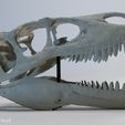 utahraptor-08.jpg Utahraptor dinosaur skull