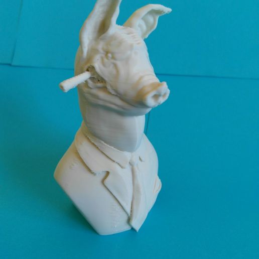 IMG_20180727_115619.jpg A apreensão dos porcos, o chefe