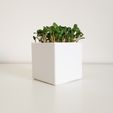 petit_pot_carr__imprim__en_3D_1.jpg Free STL file Little Square Planter・3D printer design to download