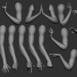 Wee 16 female arm poses
