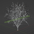 Vista1.png Baum