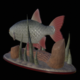 Perlin-6.png fish common rudd statue detailed texture for 3d printing