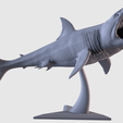 01.png White Shark Statue