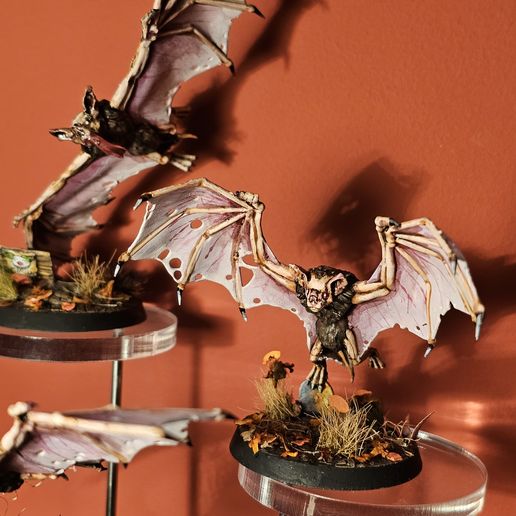 20250102_225652.jpg Fledermäuse schwärmen umher