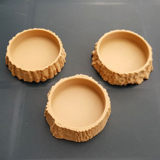 3D Scanned Tree Texture - Oak, Birch, and Pine Plant Coasters 1000.jpg Archivo STL Textura de pino escaneada en 3D - Para artículos funcionales y decorativos・Design para impresora 3D para descargar, MaxFunkner