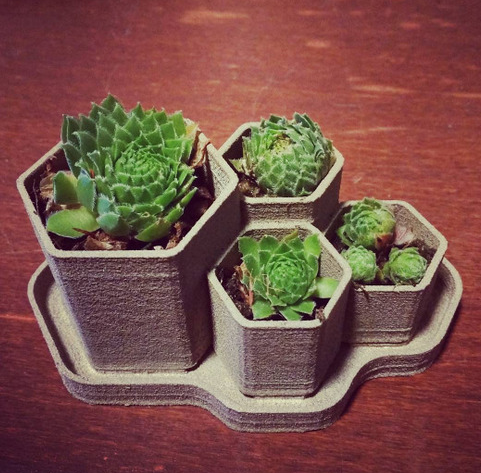 Screenshot-2025-05-14-223847.png Hexagonal Planter