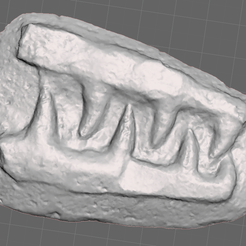 Screenshot-12.png Mosasaur Teeth in Matrix