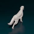 english-setter-on-the-hunt-03bz.jpg English Setter