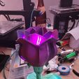 VideoCapture_20240212-221859.jpg Rose with LED,s