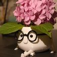 IMG_6562.jpg Flower Pot - Blooming Buddy