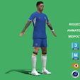 Enzo_2.jpg 3D Rigged Enzo Fernandez Chelsea 2024