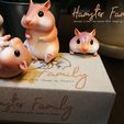 Ham04.jpg Hamster Family
