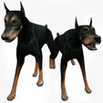portada-DOBERMAN.png DOG DOG DOWNLOAD Dóberman 3d model Animated for Blender - fbx - unity - maya - unreal - c4d - 3ds max - 3D printing DOBERMAN DOG DOG PET CANINE POLICE WOLF DOG
