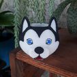 20220220_090504.jpg CUTE DOG VASE PLANTER