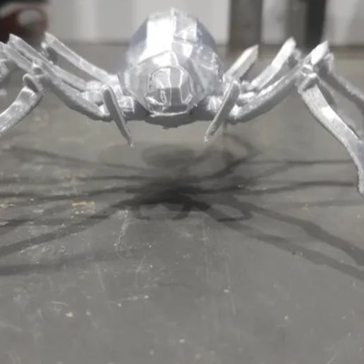 IMG_20220316_214950.jpg Araignée géante articulée