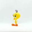 tweety-angle1.jpg Piolín