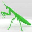 mantis-religiosa.jpg Archivo STL Mantis religiosa・Modelo de impresora 3D para descargar