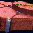file-3.jpg Modèle 3D de l'histologie du lobule hépatique