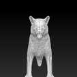 lobo-1.png Standing Wolf