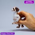 8.jpg Weenie the articulated real looking dachshund sausage dog toy
