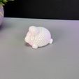 IMG_3962.jpg Cute Sheep