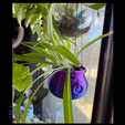5.png Cauldron Planter with Drip Tray