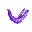 Venom_Teeth.stl MARVEL VENOM LETHAL PROTECTOR RELIEF MASK