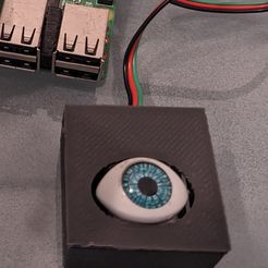 PXL_20221031_174830809.jpg STL file Eye led push button・Model to download and 3D print