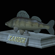 Zander-statue-17.png fish zander / pikeperch / Sander lucioperca statue detailed texture for 3d printing