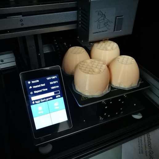 IMG_20200326_082432.jpg Eggy Duck