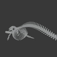 0012.png Fin Whale Skeleton – Realistic Marine Anatomy 3D Model