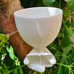 20211108_165941.jpg Download STL file Pot robert plant pot 8cm mouth reader • 3D printer template, Rebeca_Morales
