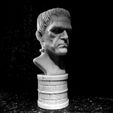 Frankenstein_BW-2.jpg Frankenstein bust - Classic Universal Monsters Collection