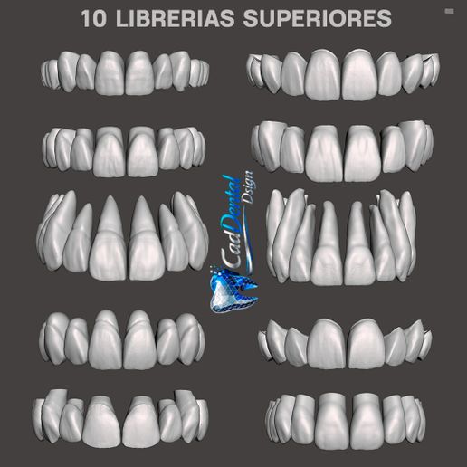 Dental libraries upper aesthetic anatomies