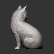 cat-looks-back11.jpg Cat for 3d printing