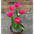 images-2023-11-08T222438.456.jpg 3d model tulips