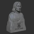 05.jpg Severus Snape 3D print model