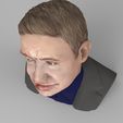 stephen-hawking-bust-ready-for-full-color-3d-printing-3d-model-obj-mtl-stl-wrl-wrz (8).jpg Stephen Hawking bust ready for full color 3D printing