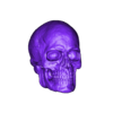 skull 1.obj Male Skull