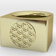 625x465_2966205_7995331_1418951011.jpg STL file Sacred Geometry - Flower of Life - Ring・Model to download and 3D print