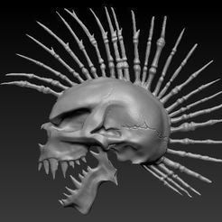 5.jpg Mohawk Skull