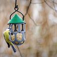 DSC_2724_Nik.jpg K1 bird feeder