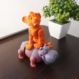 5.jpg Flexi Simba