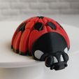 img_1.jpg Joaninha Articulada - Brinquedo Flexível para Impressão 3D 🐞