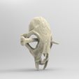 ЗАколка Череп.172.jpg 3D model STL Hairpin Skull in primeval style