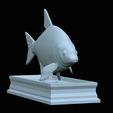 Bream-statue-23.png fish Common bream / Abramis brama statue detailed texture for 3d printing